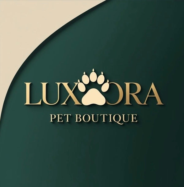 Luxora🐾